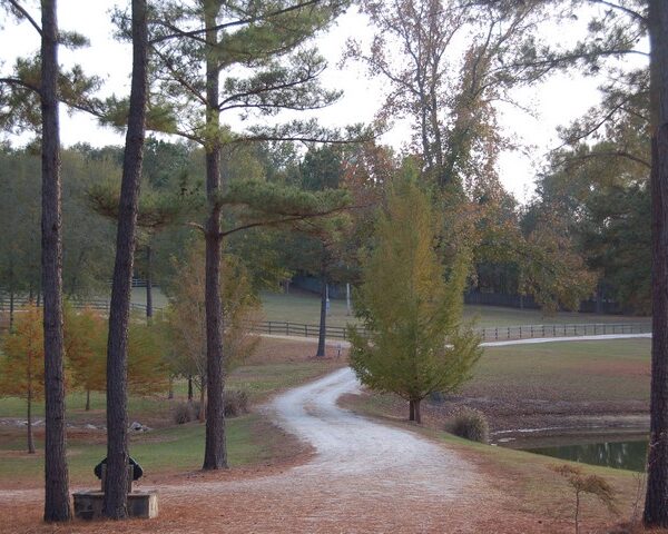 Driveway to the main gate.