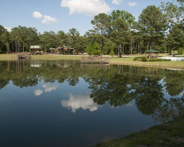 The lower pond.